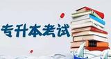 2020河北成考招生簡章（本科、專升本）