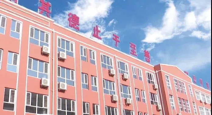 璐德艺术中学